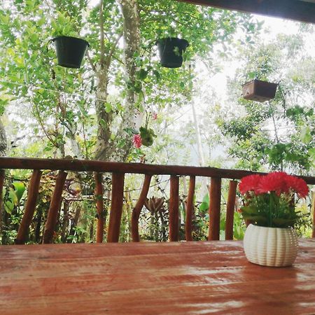 Deneth Homestay エッラ エクステリア 写真