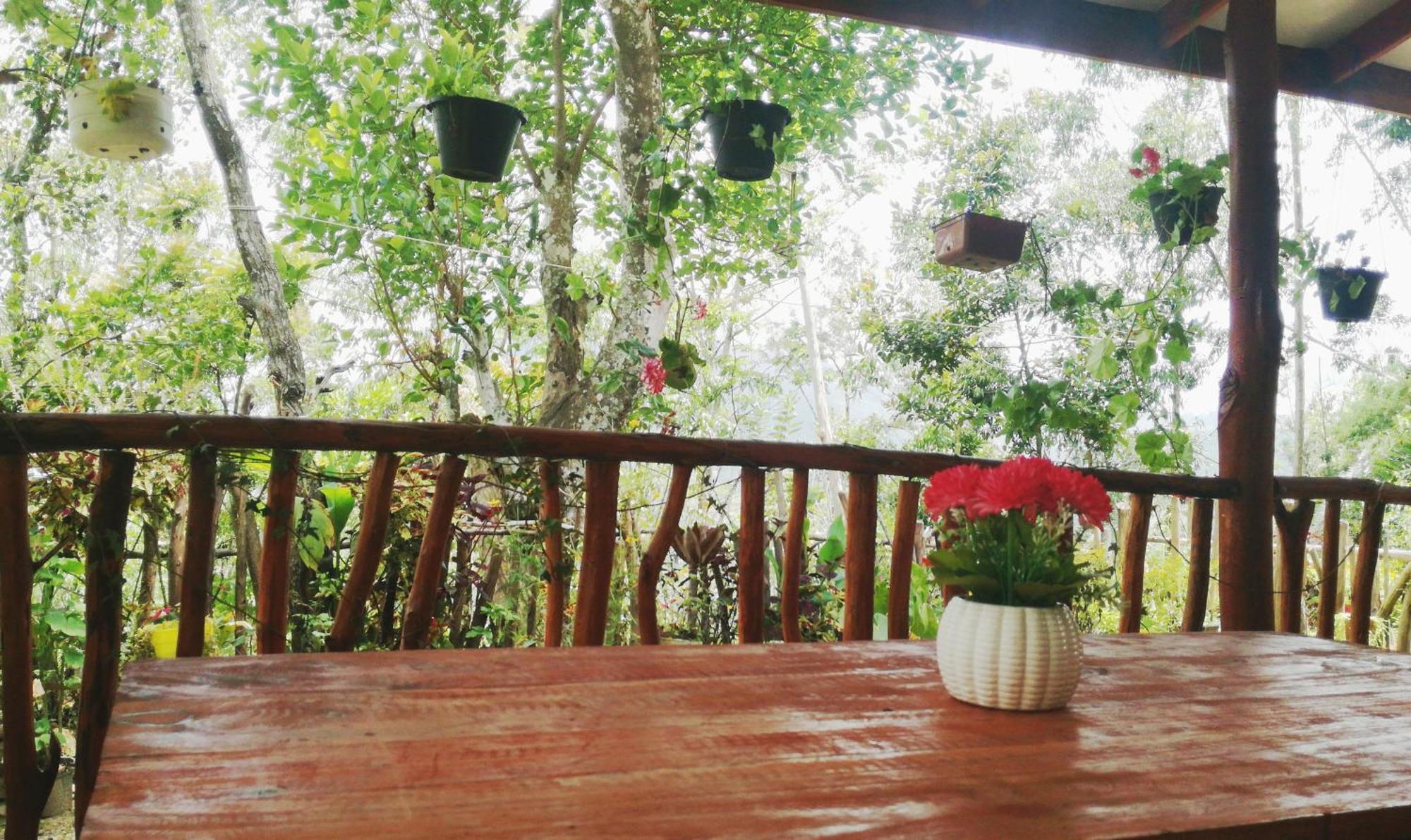 Deneth Homestay エッラ エクステリア 写真