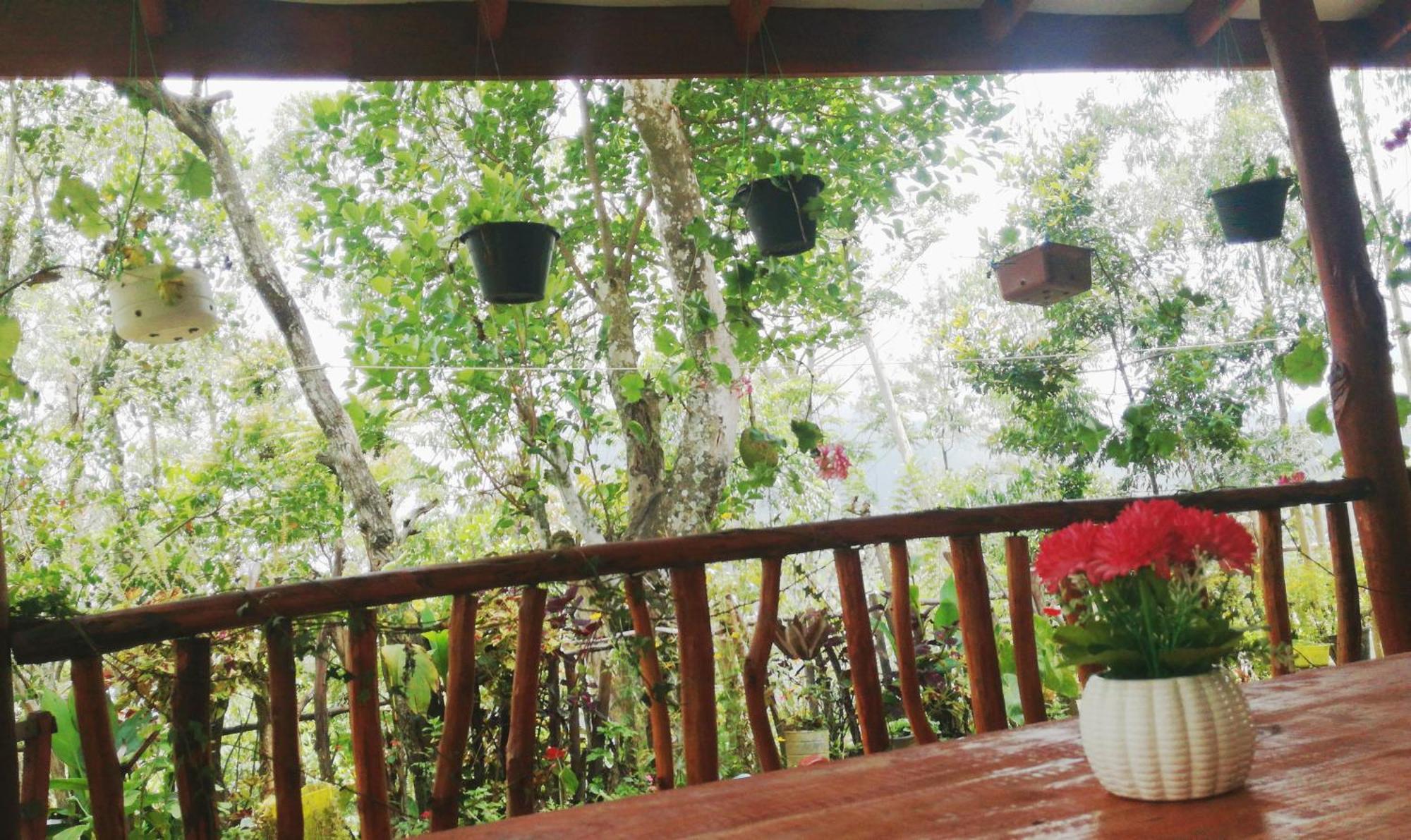 Deneth Homestay エッラ エクステリア 写真