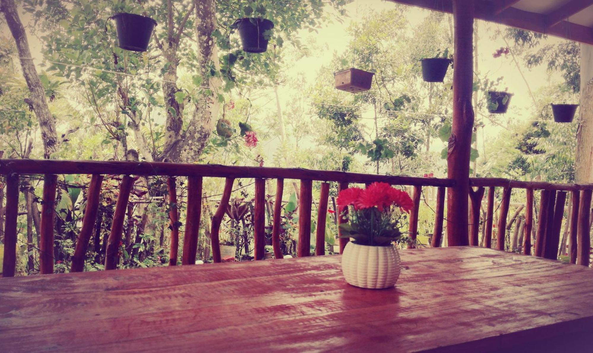 Deneth Homestay エッラ エクステリア 写真