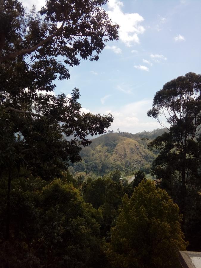 Deneth Homestay エッラ エクステリア 写真